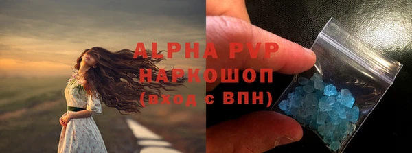 прущие грибы Карпинск