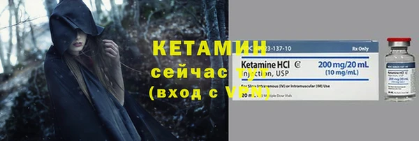 прущие грибы Карпинск