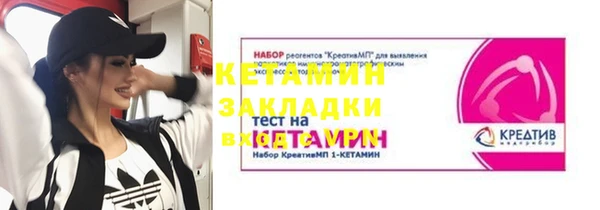 прущие грибы Карпинск