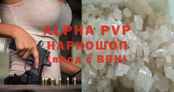 прущие грибы Карпинск