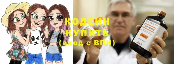 прущие грибы Карпинск