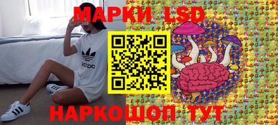 мдпв Новокубанск