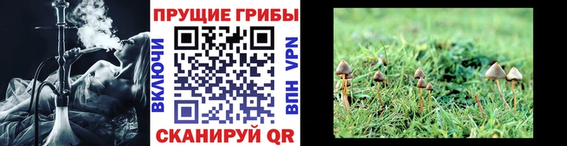 цена   Сертолово  Псилоцибиновые грибы ЛСД 