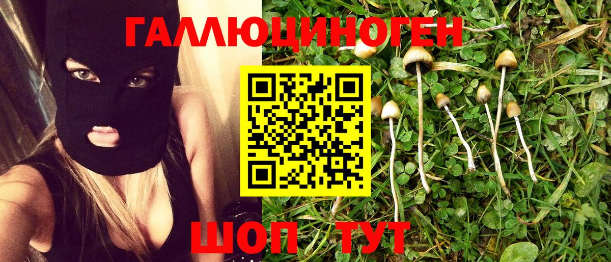 Сертолово  Псилоцибиновые грибы Magic Shrooms  Вход с VPN  Псилоцибиновые грибы мицелий 
