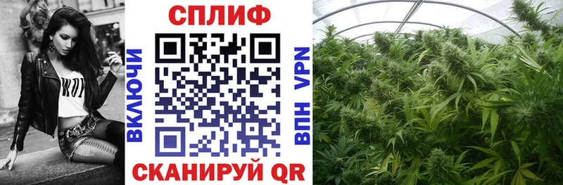 МАРИХУАНА Ganja  купить наркотик  Сертолово 
